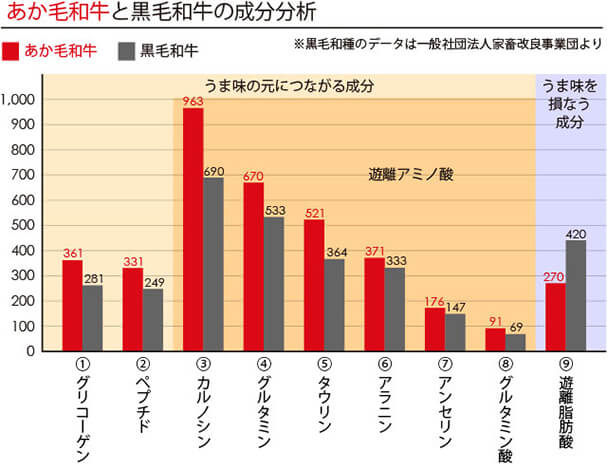 あか毛和牛と黒毛和牛の成分分析