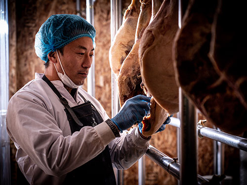 熟成肉の研究・開発