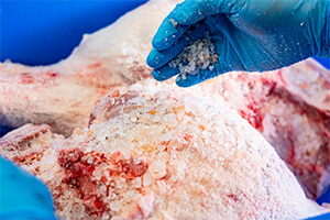 塩漬け＆塩抜き